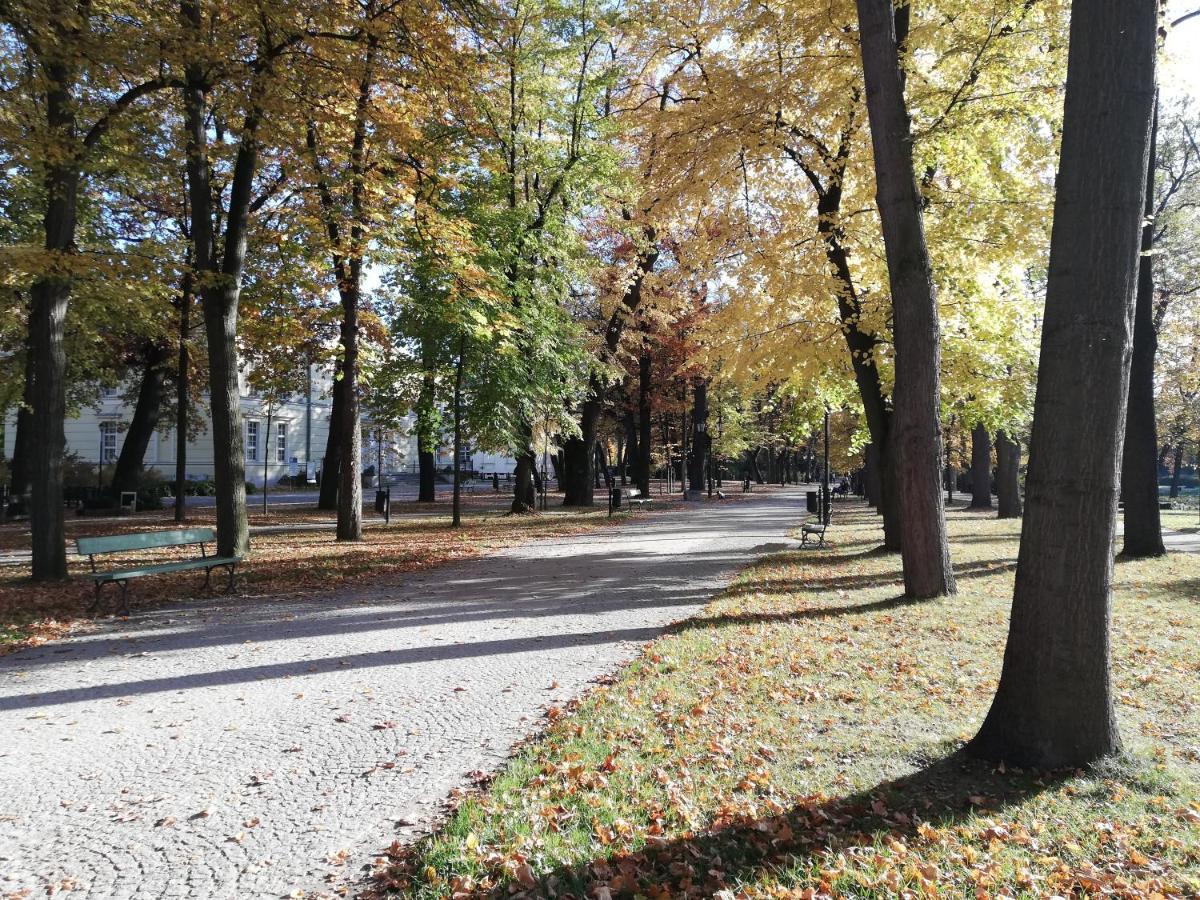 Апартаменты Waniliowe Zacisze Еленя-Гура Экстерьер фото
